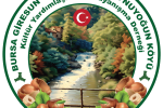 Bursa Giresun Güce Yukarıboynuyoğun Köyü Kültür Yardımlaşma ve Dayanışma Derneği