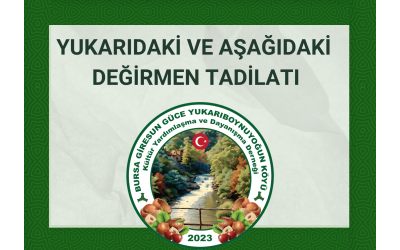 DEĞİRMEN TADİLATI