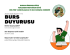 BURS BAŞVURUSU